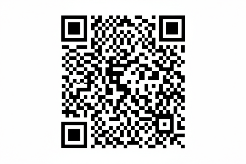 create a mock qr code